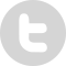 icn-twitter